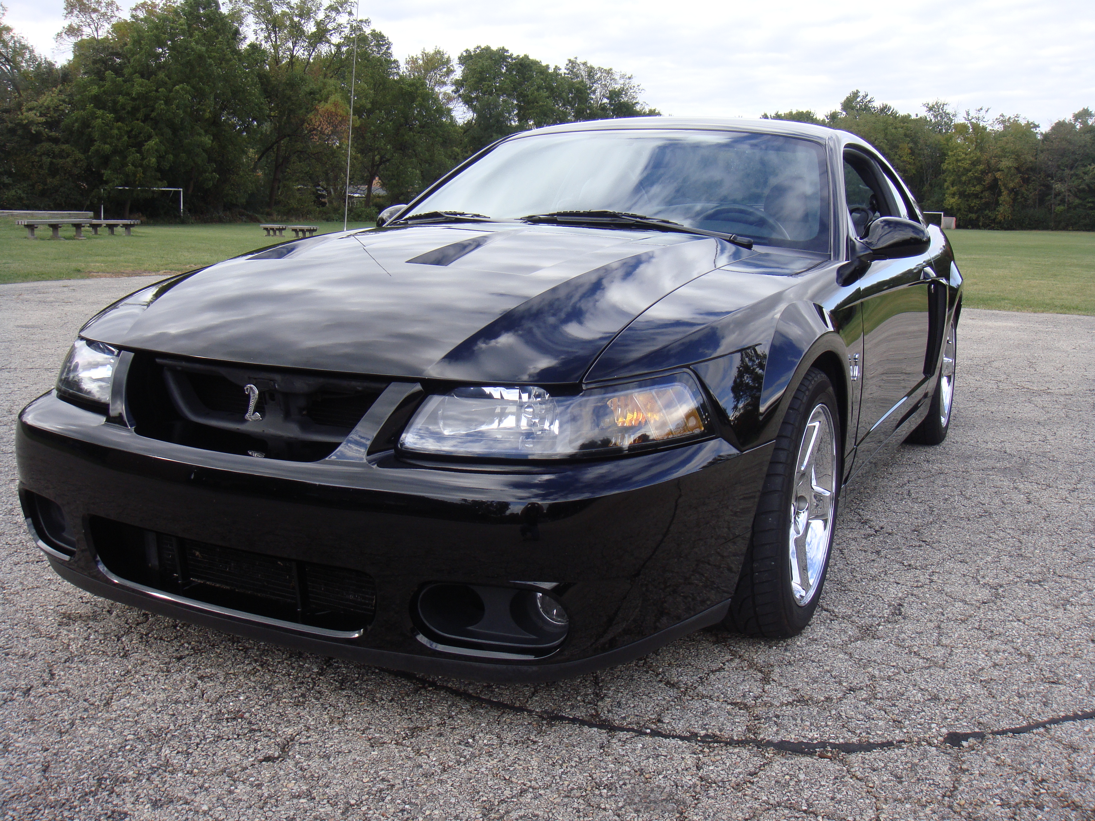 2004 SVT Cobra